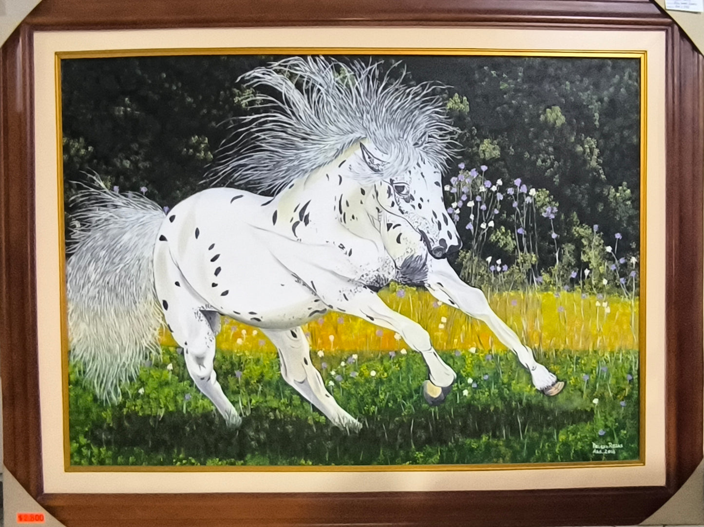 Caballo Pinto