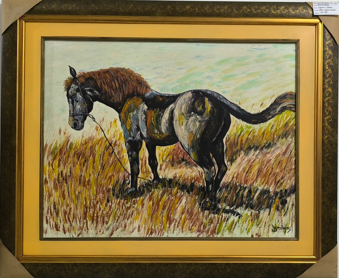 Caballo y Pampa